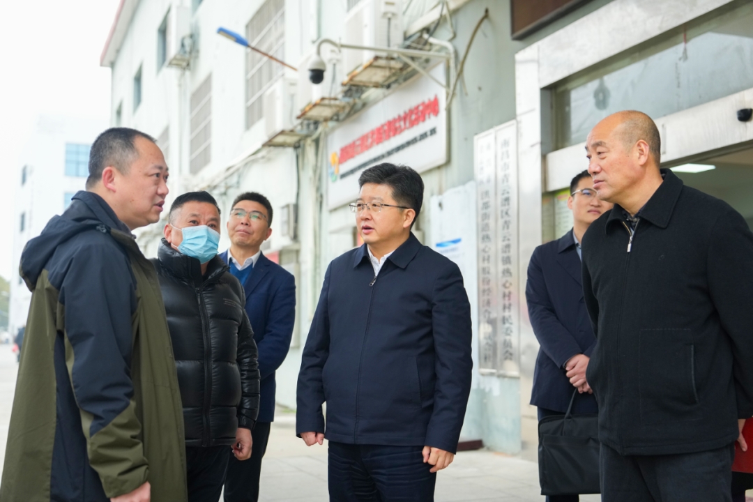 Wang Zhonghua visited Taihe Village, Hongdu Street, and enthusiastic village